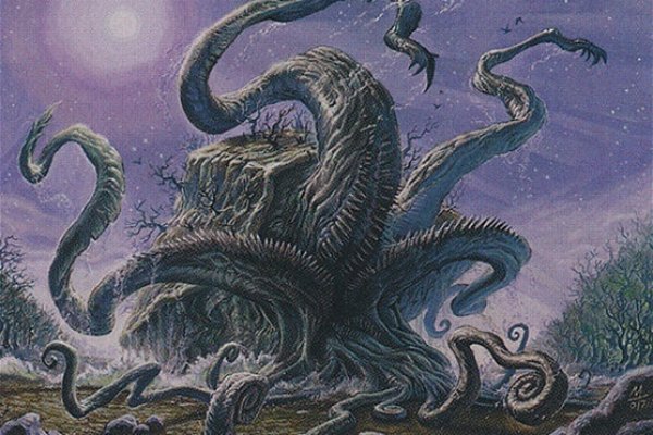 Kraken 12g