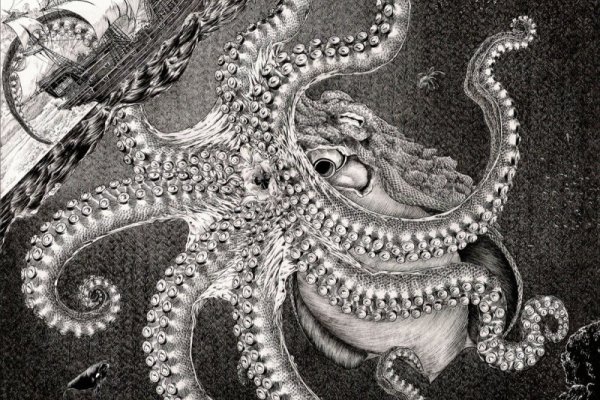 Ссылка на кракен в тор на сегодня