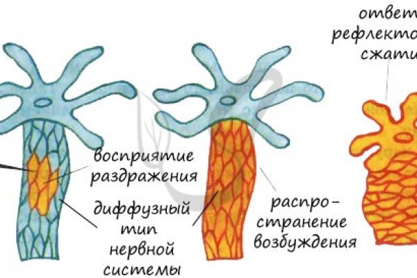 Kraken ссылка официальная