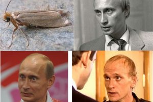 2krn сс